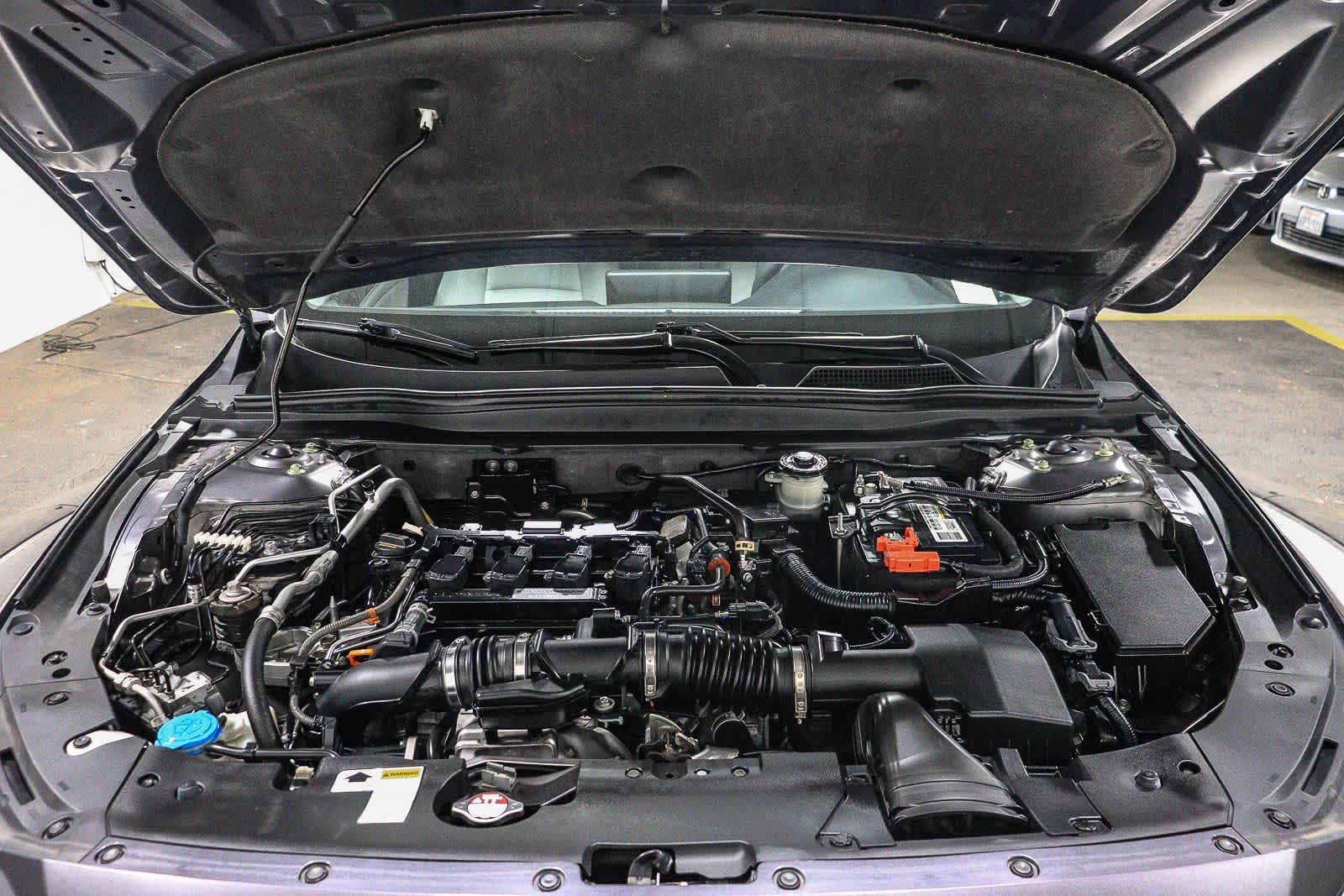 2019 Honda Accord Sedan LX 1.5T