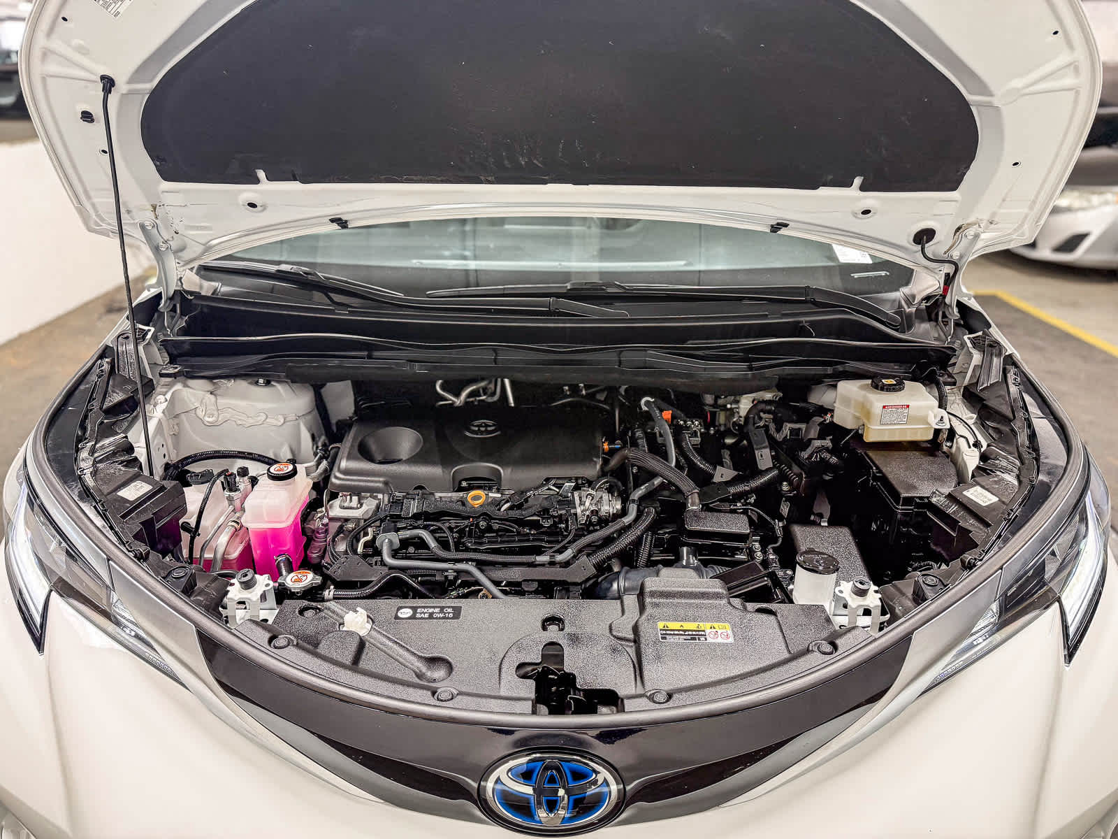 2023 Toyota Sienna XSE