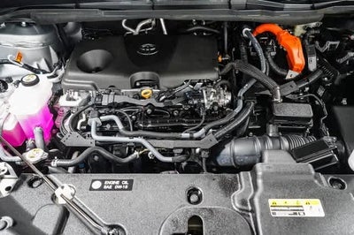 2025 Toyota Sienna Limited