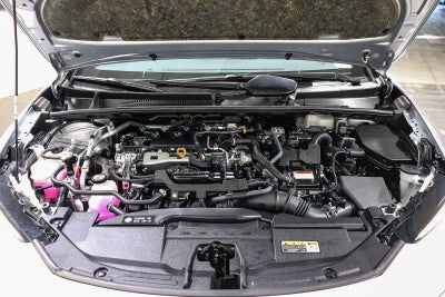 2023 Toyota Prius XLE