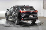 2021 Lexus UX 250h UX 250h