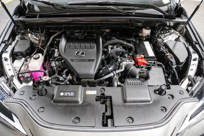 2024 Lexus NX 350 NX 350