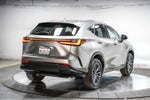 2024 Lexus NX 350 NX 350