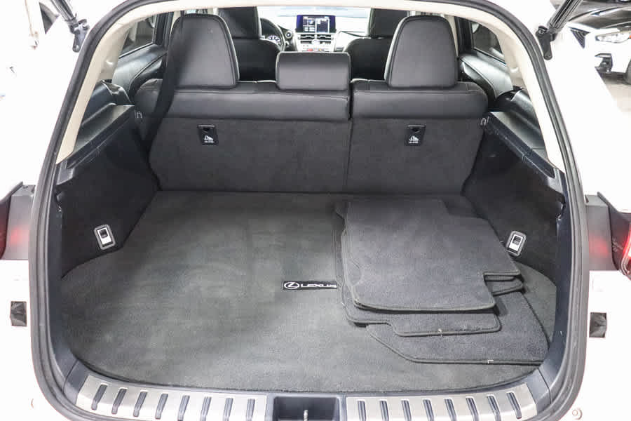 2021 Lexus NX 300h NX 300h