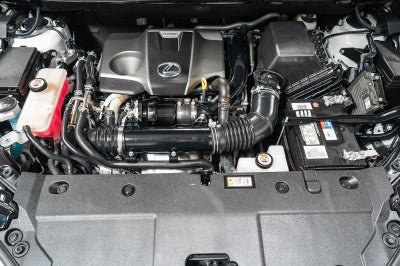 2019 Lexus NX 300 NX 300