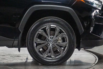2025 Toyota RAV4 Hybrid XLE Premium