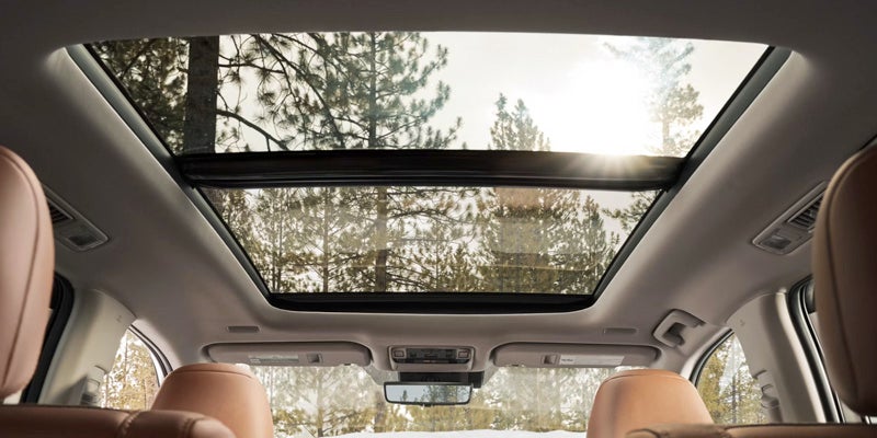 Interior view of the 2025 Toyota Grand Highlander featuring a panoramic sunroof with forest scenery above