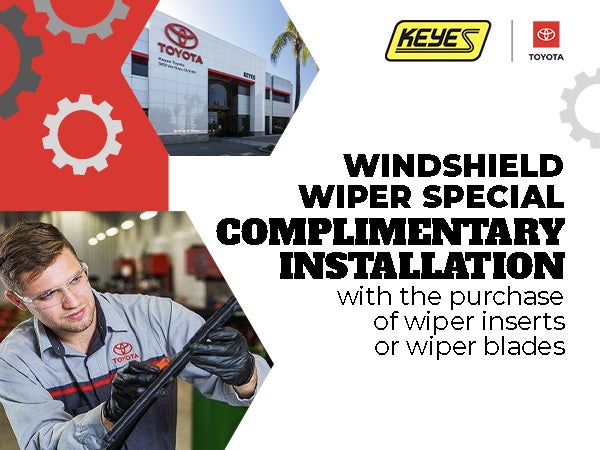 Windshield Wiper Special